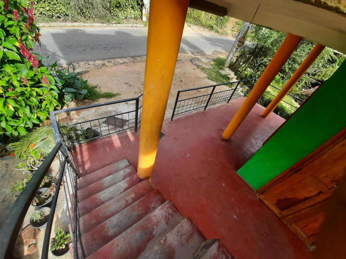 Ella New Green View Luaran gambar
