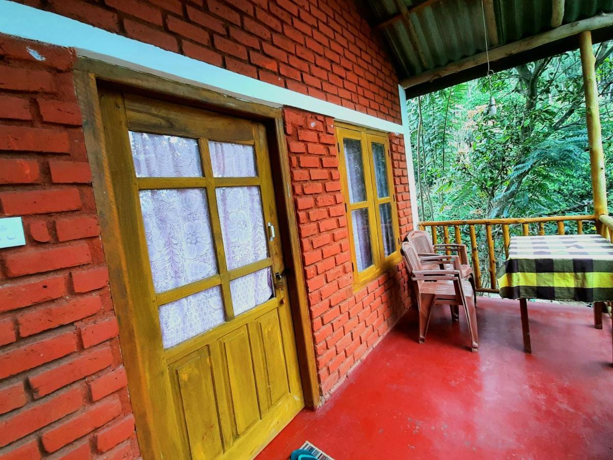 Ella New Green View Luaran gambar