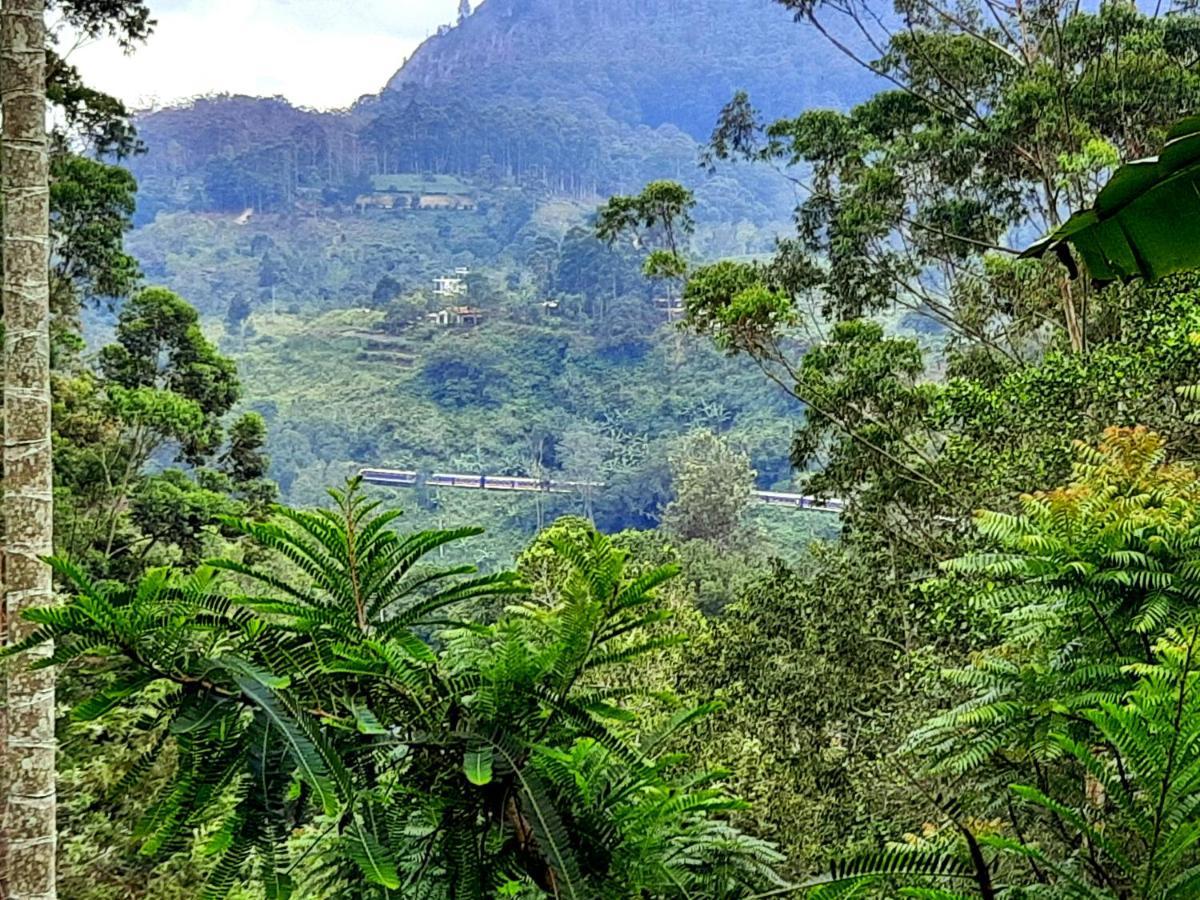 Ella New Green View Luaran gambar
