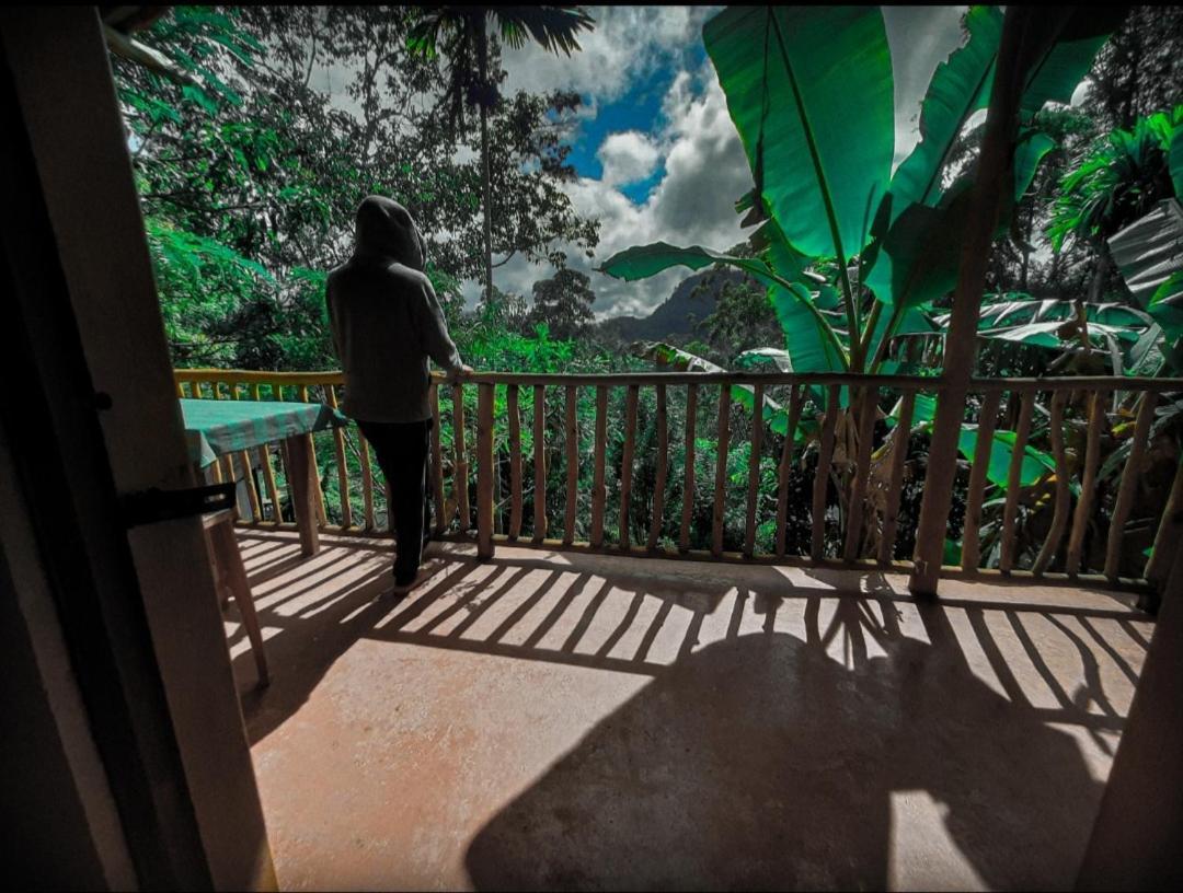 Ella New Green View Luaran gambar