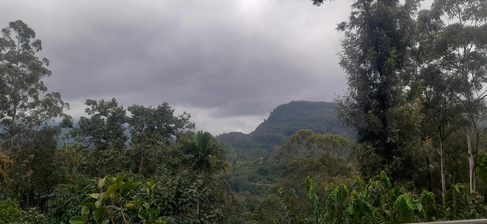 Ella New Green View Luaran gambar