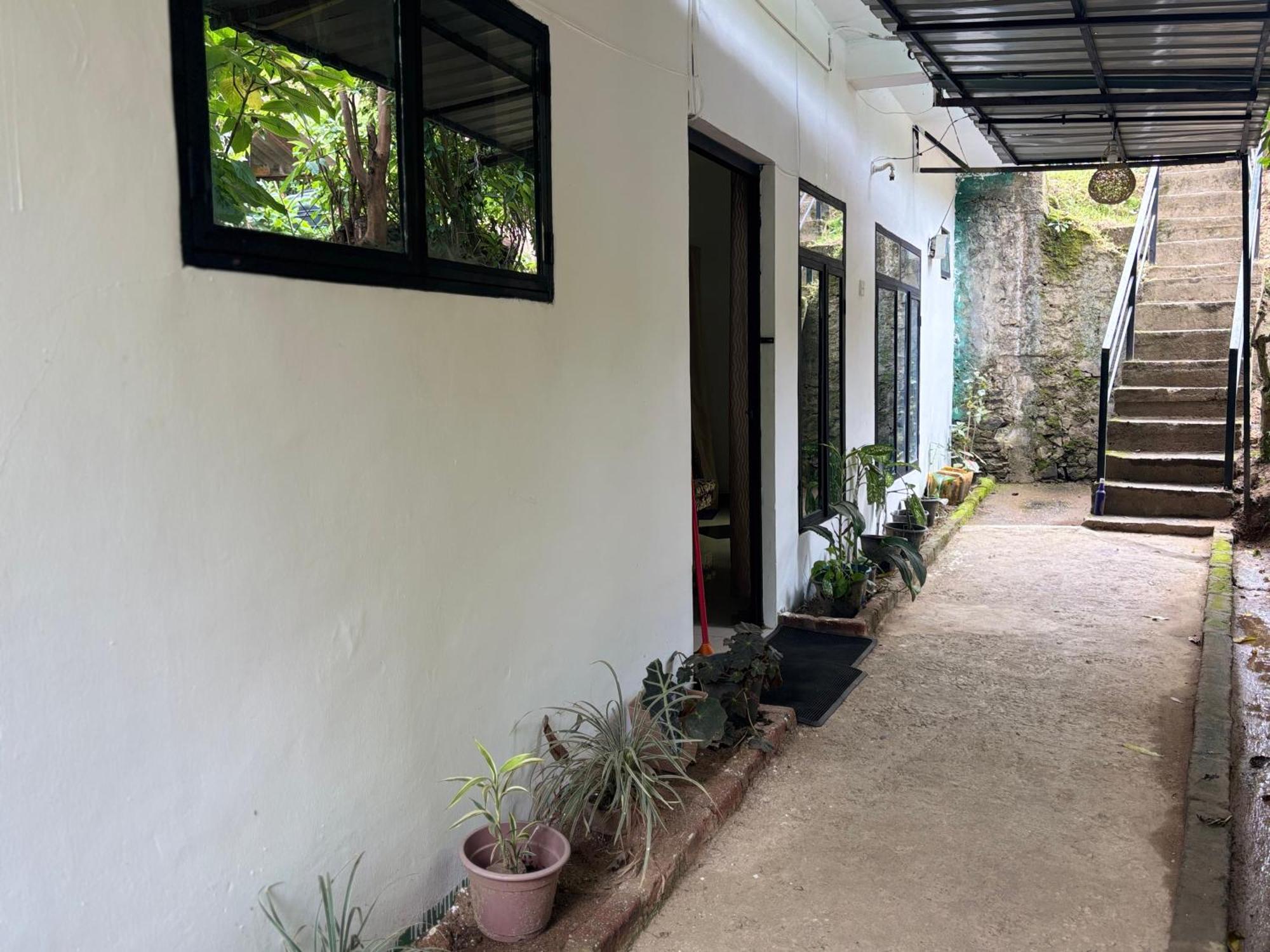 Ella New Green View Luaran gambar